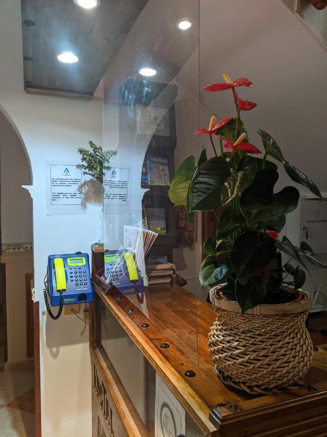 Hostal Moraima Capileira Εξωτερικό φωτογραφία